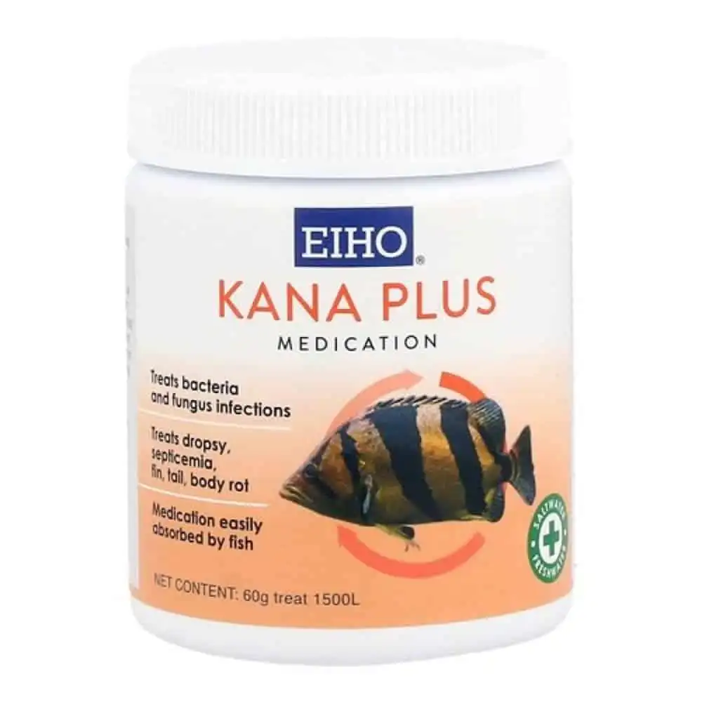 Eiho Kana Plus 60 G EIWT04 1
