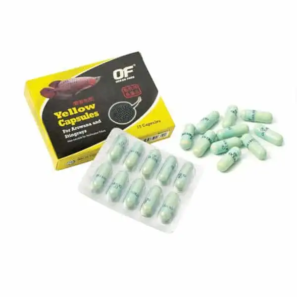 OceanFree Yellow Capsule OFFT22 1