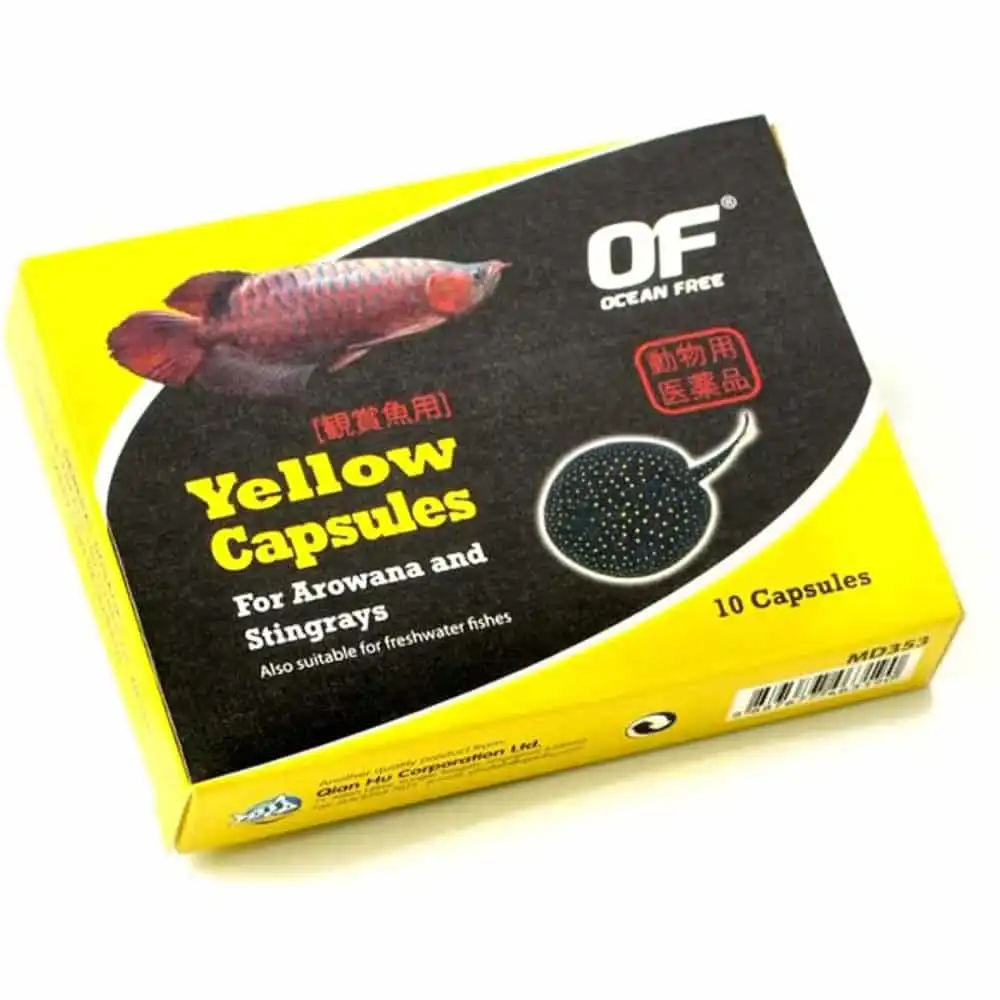 OceanFree Yellow Capsule OFFT22 2